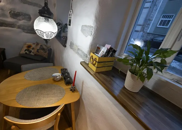 Like Salme 31 Apartmán *